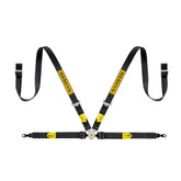 Sabelt Porsche Passenger 4pt Harness